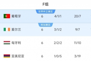 逆天改命！爱尔兰世预赛前3轮仅拿1分，近3轮均取胜获附加赛资格